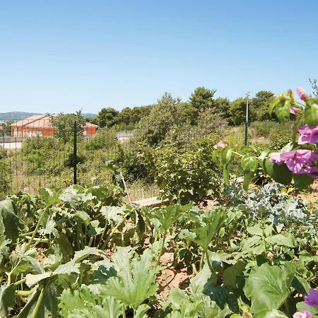 Apartment Gorgeous In Biograd With Wifi